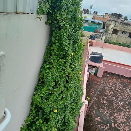 Allamanda Abode Aparthotel Τσενάι Εξωτερικό φωτογραφία